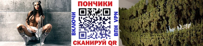 Купить  Дубовка  Канабис Amnesia 